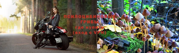 прущие грибы Липки